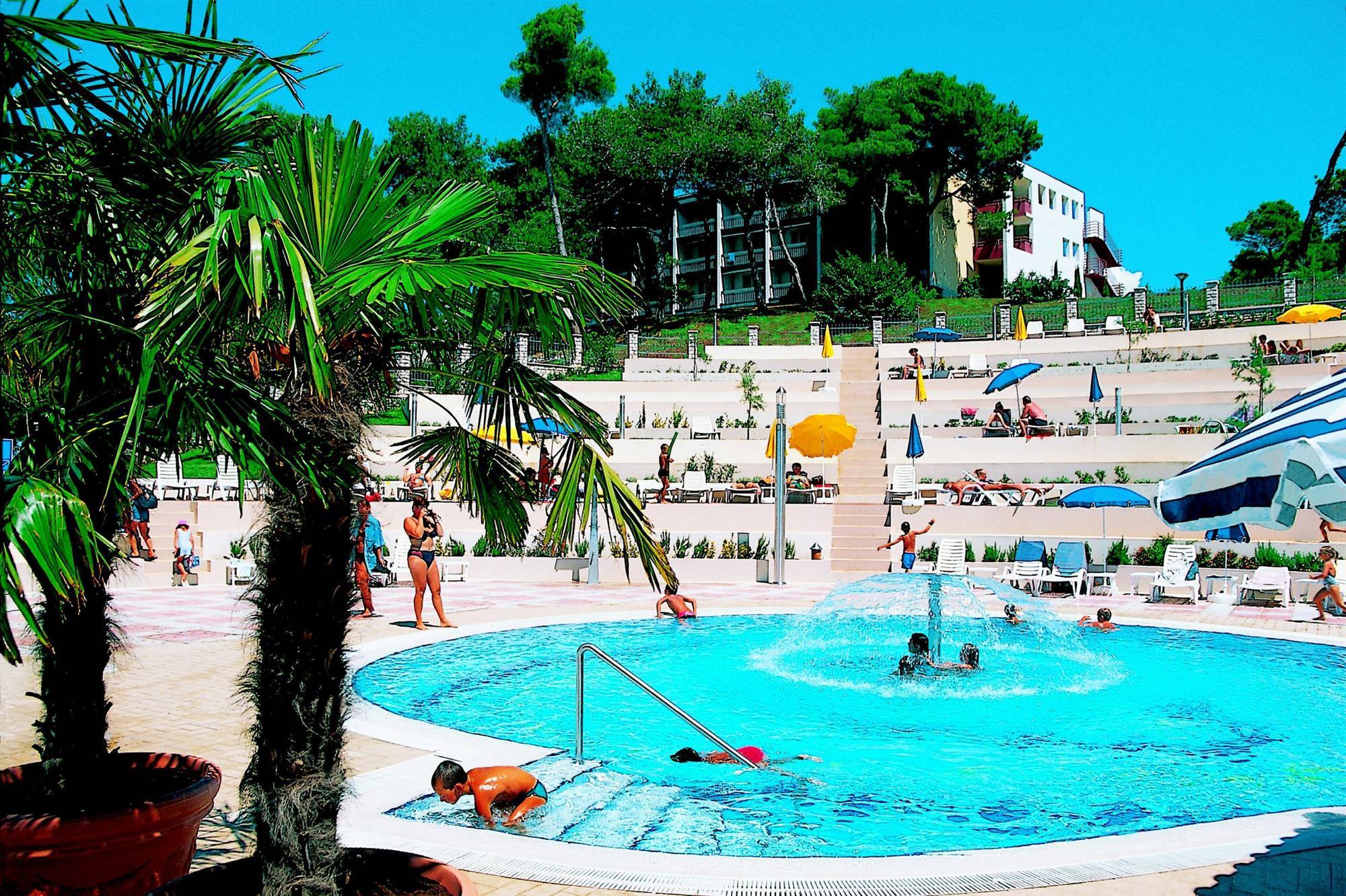 Pineta Hotel 3*